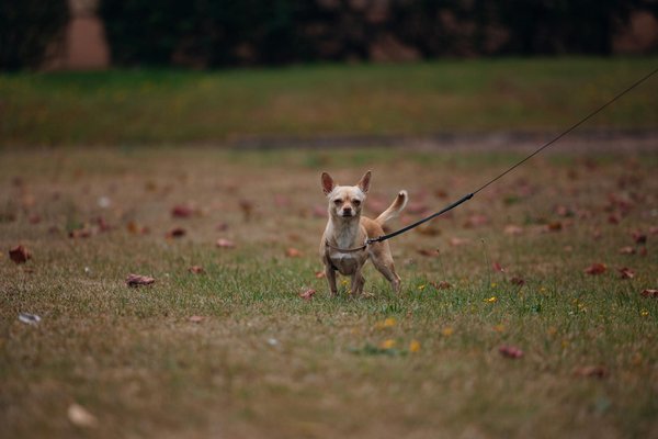 Descubre técnicas de respiración y relajación: soluciones innovadoras para superar el insomnio