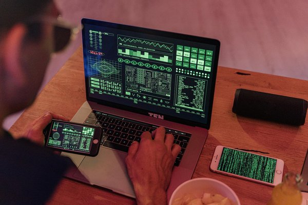 Guía Práctica: Cómo Actuar Ante una Herida Abierta en Tu Gato